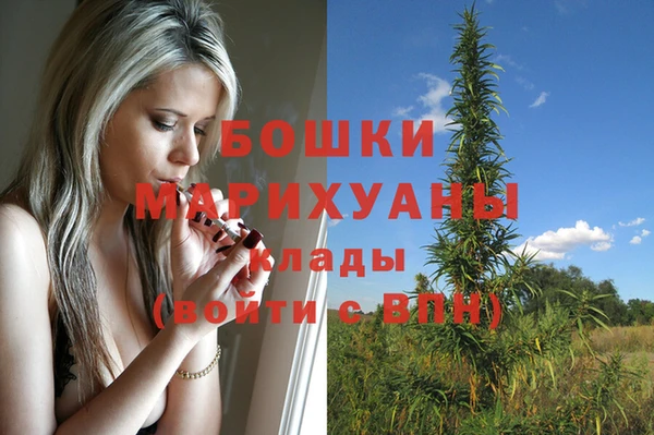 бошки Зеленодольск