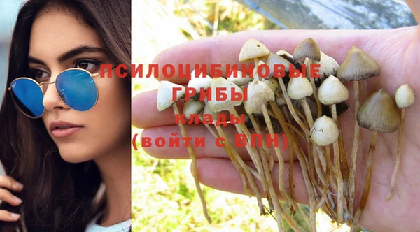 первитин Зерноград